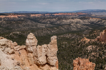 Rainbow Point, Bryce Canyon National Park, Utah. Claron Formation, White limestone member, (Tcp)...
