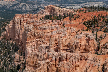 Rainbow Point, Bryce Canyon National Park, Utah. Claron Formation, (Tcp) Pink member; mudstone, sistone, sandstone; weathers into picturesque cliffs, columns, spires, and pinnacles.
