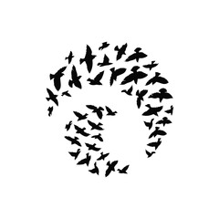 Silhouette of flying birds in circle