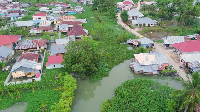  Aerial View of Riverbank Village with Water Hyacinth