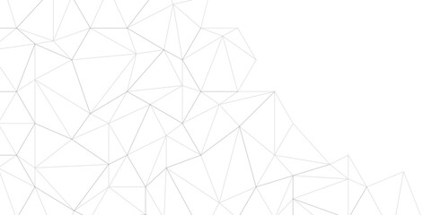 Abstract of simple gray line triangle pattern geometric background .white background creative and geometric shape with white luxury pattern .Gray and white geometric background with low poly triangle