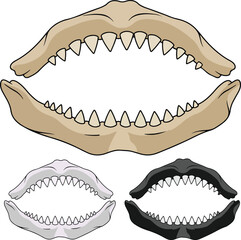 Vector illustration of predator jaws set. Open mouth with sharp teeth of a monster, dinosaur, or shark. Isolated on white background