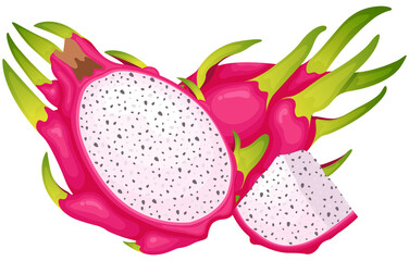 Fruit, Red Dragon Fruit, Tropical Fruits, Illustration Hand Drawn