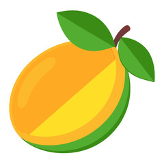 Mango slice
 white background