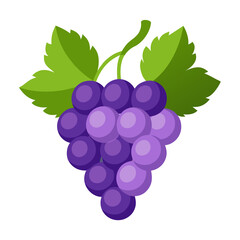 Grapes  white background