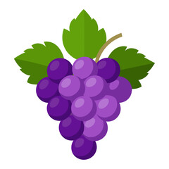 Grapes  white background