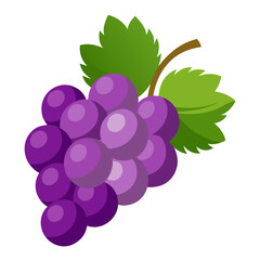 Grapes  white background