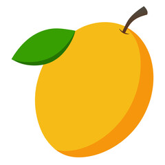 Mango vector
 white background