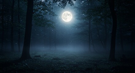 Fototapeta premium night in the forest background