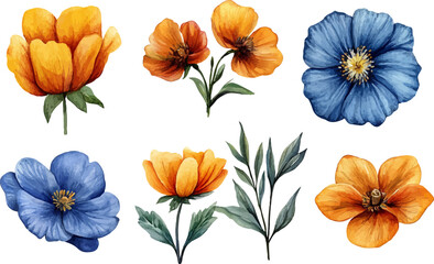 collection of flowers