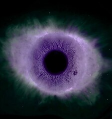 Iris photography 3