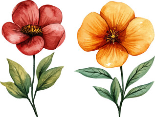 set of red poppies