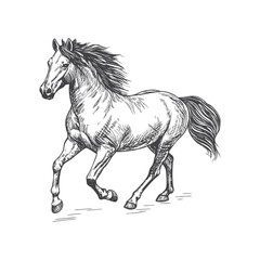 A sketch art of a horse running, showing the initial outline.	