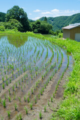田植えを終えた若桜氷ノ山の棚田の風景 鳥取県 若桜町
