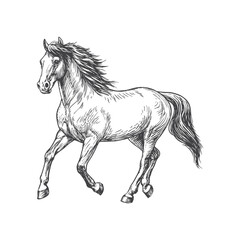 A sketch art of a horse running, showing the initial outline.	