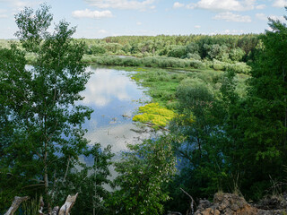 Landscape of a river, forest, sky in summer.