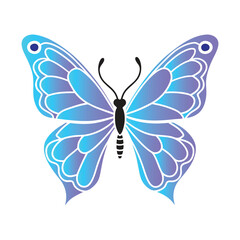 Butterfly, monarch butterfly, milkweeds, painted lady