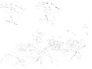 Grainy dust distressed vector backdrop with grungy texture design for vintage artwork, retro overlays, rough surfaces and abstract artistic backgrounds