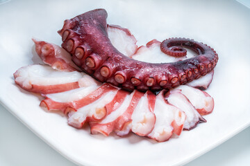 Raw Tentacles of octopus on white plate on white background, kraken tentacles sashimi isolate on white background.