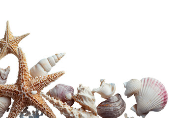 Obraz premium Natural Beach Seashells and Starfish Collection – Isolated on White Background