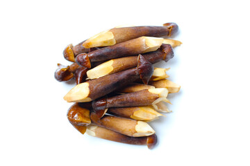 Termite mushrooms with long stems, white tips, and dark brown caps.