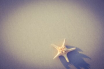 Overhead view of starfish on sand