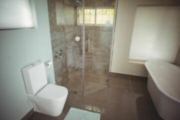 High angle view of toilet bowl and bathtub in bathroom