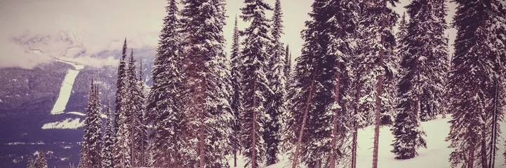 Gardinen Electric pole in snowy region © vectorfusionart