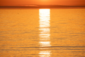 The sunlight creates a golden reflection on water.

