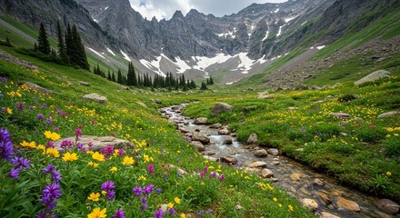 Mountain valley meadow wildflowers