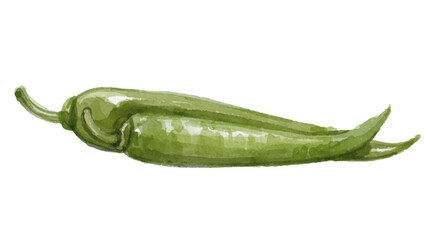 Watercolor green chili isolated on white background