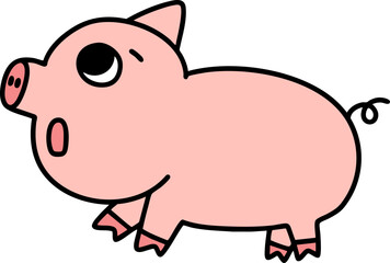 pig