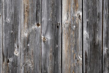 Fototapeta premium Gray Barn Wood. Old Vertical Plank Wall of Grey Barn in Daylight