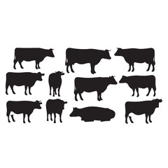 Cow Silhouette Collection Vector Illustration set