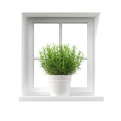 Fototapeta premium Green plant in white pot sits on windowsill pretty indoor scene