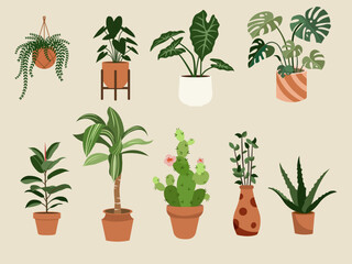 variety plants pots flat design illustration background different indoor space size decoration elements houseplants shelves hanging clipart