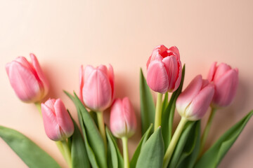 Fototapeta premium Tulips leaning top-left with petals fading into mauve and cream tones. AI-generated