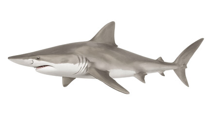Naklejka premium shark, great white shark, hammerhead shark, tiger shark, bull shark, whale shark, mako shark, reef shark, basking shark, nurse shark, blacktip shark, blue shark, lemon shark, thresher shark, goblin sh
