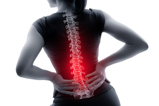 Woman with lower back pain, highlighted spine. - Powered by Adobe