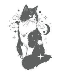 cat illustration forecast art style with cloud star and moon