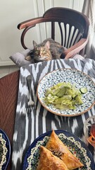 Cat tries to steal food from the table.Insolent assertive cat walks on the kitchen table. Stylish...