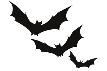 Fototapeta premium halloween bat and bats