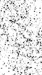 Abstract Black and White Granular Texture