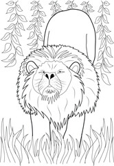 Powerful Lion Outline Standing Among Jungle Leaves and Grass. Simple Yet Striking Black and White Illustration for Coloring and Design.
