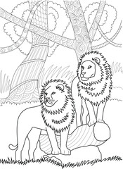Black and white illustration of two male lions in a natural setting, suitable for coloring, animal themes, or design.