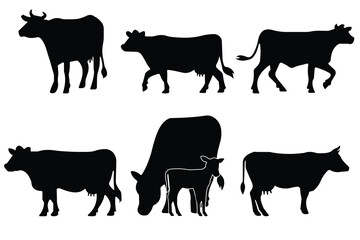 Cow Silhouettes in Various Poses, Including Grazing on Meadow. isolated vector on white background.