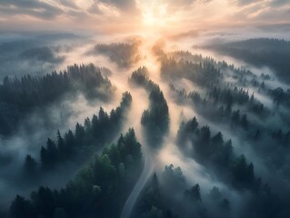 Mysterious Fog-Shrouded Woodland Scene with Unknown Silhouettes Lurking Among Tall Trees
sunrise over mountains