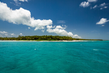A scenic tropical coastline featuring turquoise Caribbean water, a dense palm forest, and a vibrant...