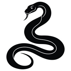 Fototapeta premium black and white snake
