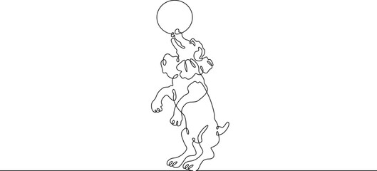 Continuous one line drawing trained dog. The dog performs in the circus. Circus..One continuous line isolated minimal illustration.Not AI.